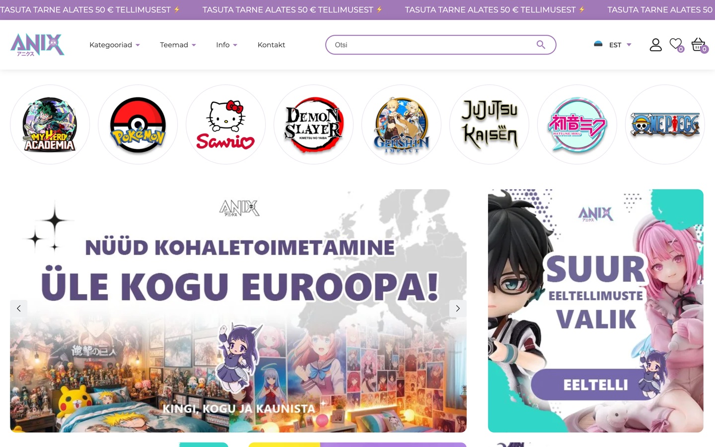 WooCommerce e-pood Anix